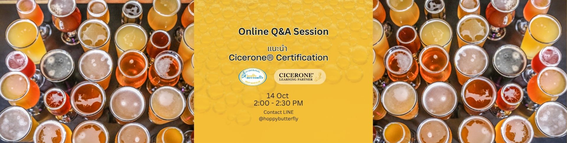 Hoppy Butterfly Cicerone Q&A